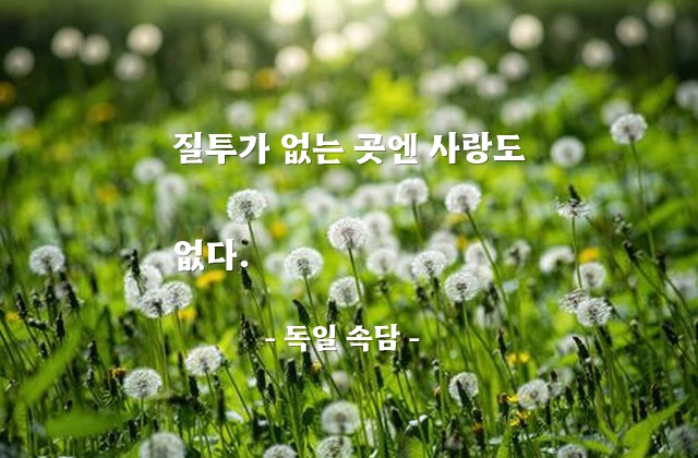 질투, 사랑 – 독일 속담