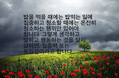 집중력 – 도법