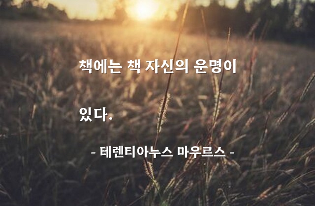 책(book), 운명 – 테렌티아누스 마우르스