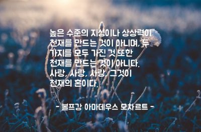 천재, 사랑 – 볼프강 아마데우스 모차르트