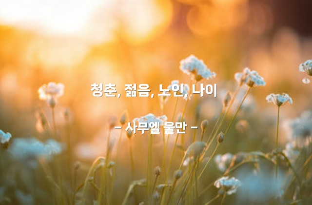 청춘, 젊음, 노인, 나이 – 사무엘 울만