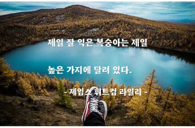 최상품, 어려움, 복숭아 – 제임스 휘트컴 라일리