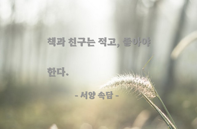 친구, 책(Book) – 서양 속담