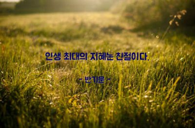 친절, 지혜 – 반기문