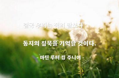 침묵, 비겁함, 동지 – 마틴 루터 킹 주니어