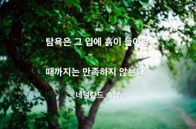 탐욕, 만족 – 네덜란드 속담