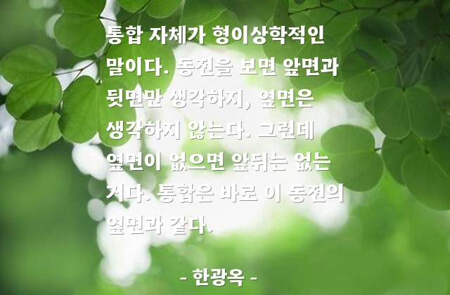 통합, 동전 – 한광옥