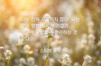 평범함, 인기 – 스티브 포셋