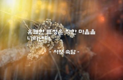 표정 – 서양 속담