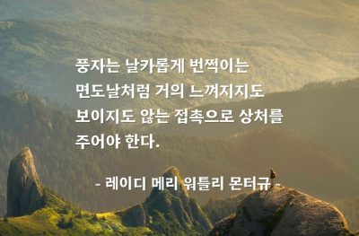 풍자 – 레이디 메리 워틀리 몬터규