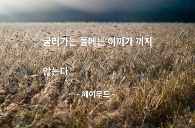 행동 – 헤이우드