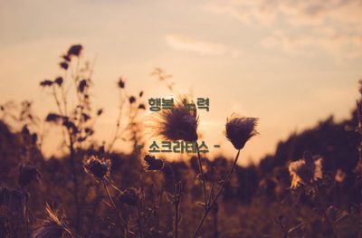 행복, 노력 – 소크라테스