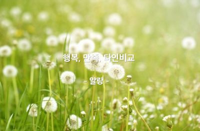 행복, 만족, 타인비교 – 알랑