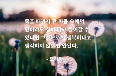 행복 – 모리악