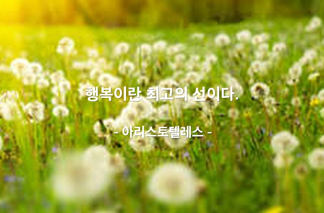 행복, 선(good) – 아리스토텔레스