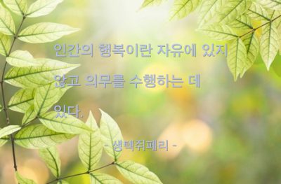 행복, 자유, 의무 – 생텍쥐페리