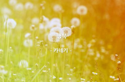 행복 – 카네기