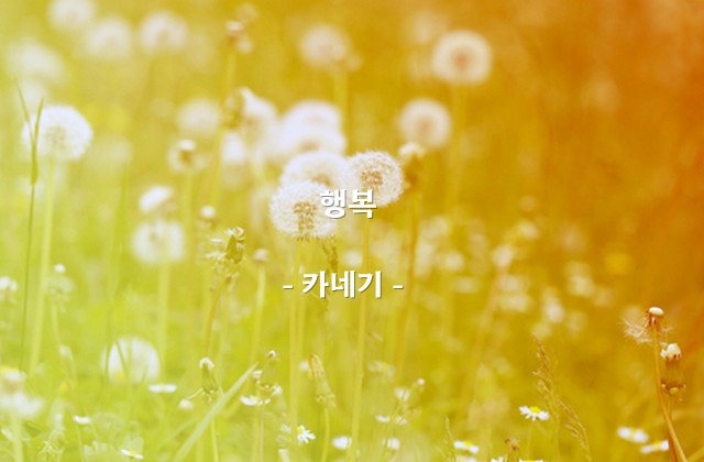 행복 – 카네기