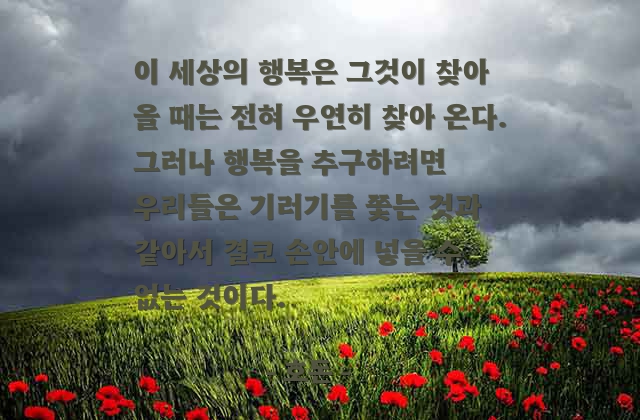 행복 – 호돈