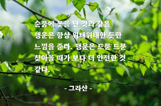 행운 – 그라샨