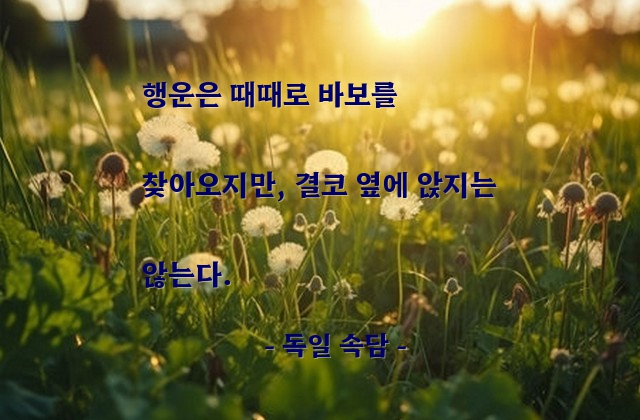 행운, 바보 – 독일 속담