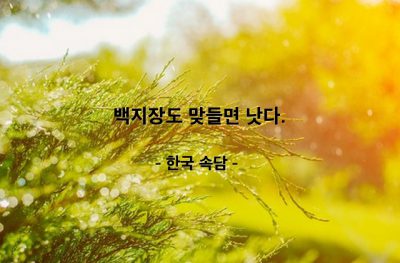 협동 – 한국 속담