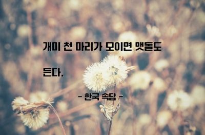 협동, 협력, 단결, 개미 – 한국 속담