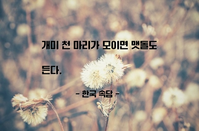 협동, 협력, 단결, 개미 – 한국 속담