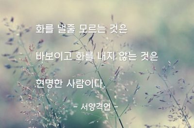 화(Anger), 사람 – 서양격언