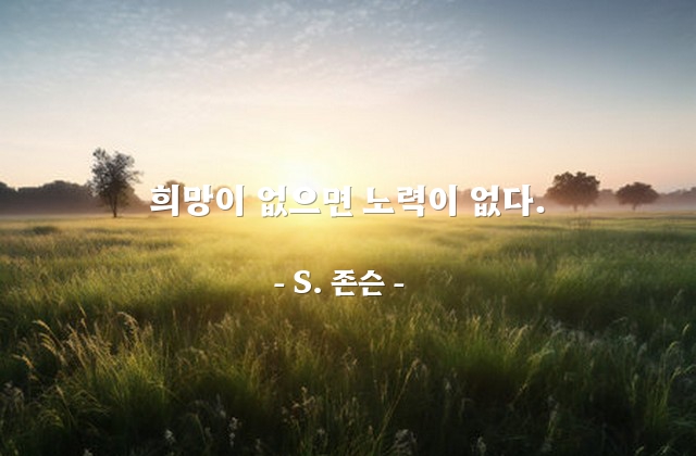 희망, 노력 – S. 존슨