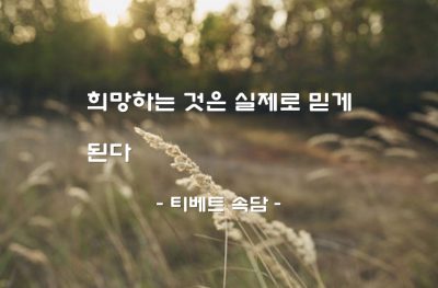 희망, 바람(wish), 믿음 – 티베트 속담