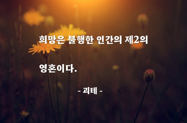 희망, 불행 – 괴테