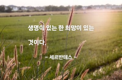 희망, 생명 – 세르반테스