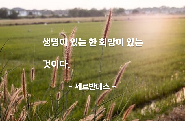 희망, 생명 – 세르반테스