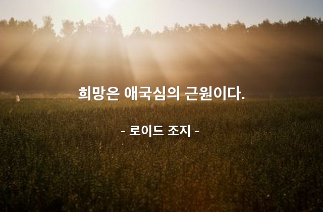 희망, 애국심 – 로이드 조지