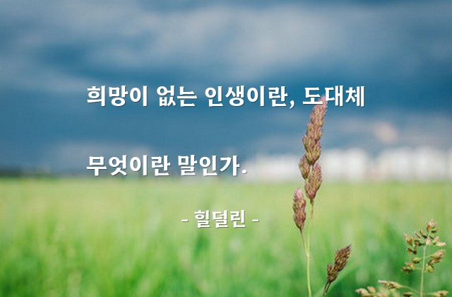 희망, 인생 – 힐덜린