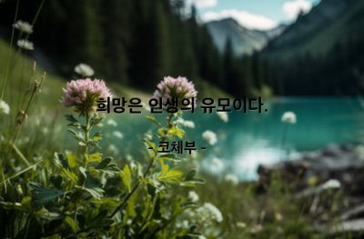 희망 – 코체부