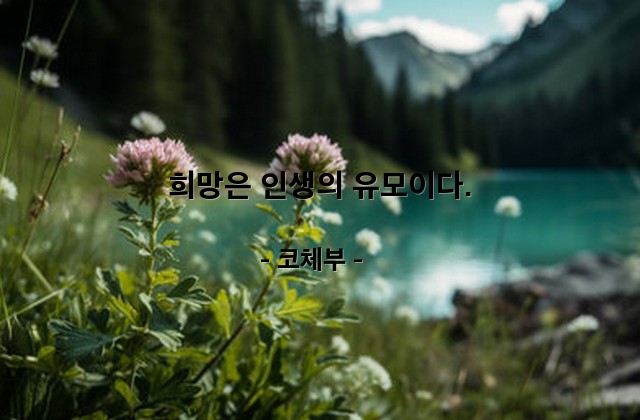 희망 – 코체부