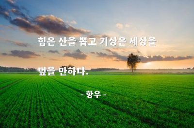 힘(power), 기상 – 항우